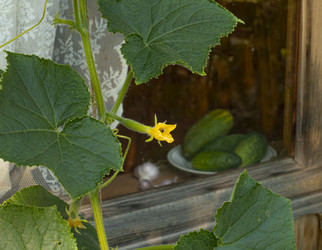 Similar image 21221341