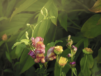 Similar image 21206634