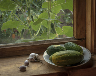 Similar image 21221342