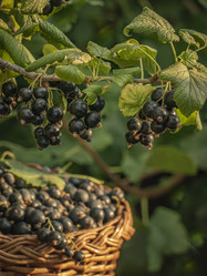 Similar image 21221343