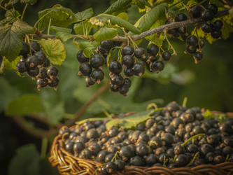 Similar image 21221345