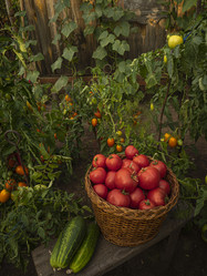 Similar image 21221346