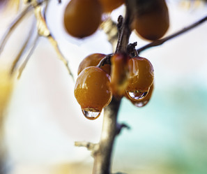 Similar image 21221347