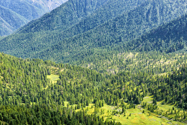 Similar image 21212837