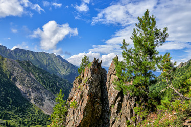 Similar image 21212838