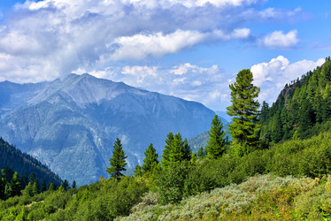 Similar image 21212839