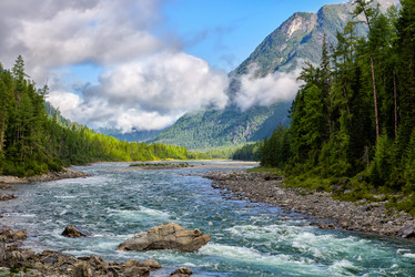 Similar image 21212841