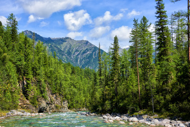 Similar image 21212843