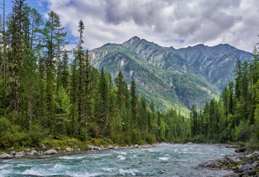 Similar image 21212850