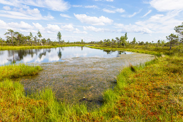 Similar image 21206309