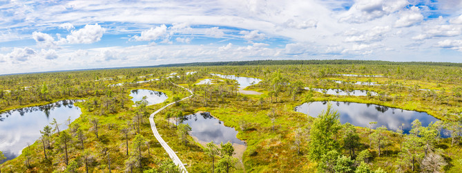 Similar image 21206310