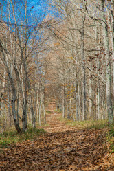 Similar image 21205437