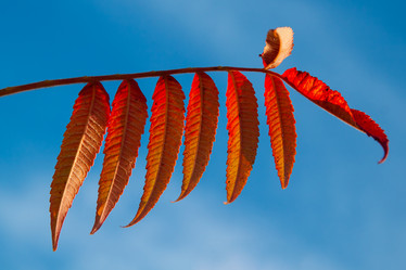 Similar image 21205457