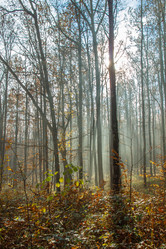 Similar image 21205459