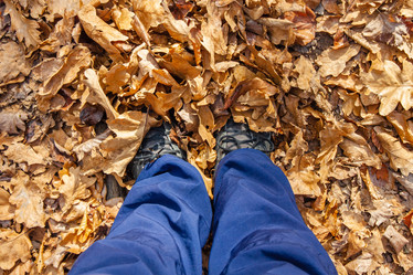 Similar image 21205463