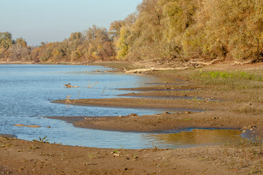 Similar image 21207103