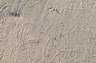 Similar image 21207104