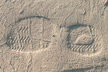 Similar image 21207105