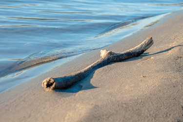 Similar image 21207106