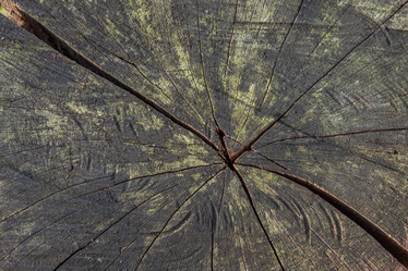 Similar image 21207107