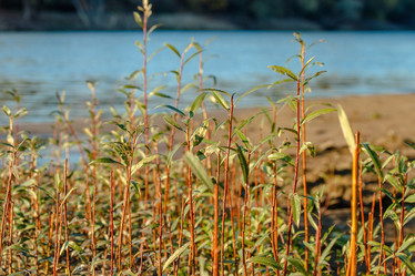 Similar image 21207108