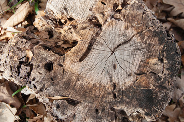 Similar image 21207115