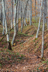 Similar image 21246837