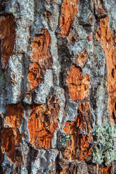 Similar image 21207119