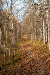 Similar image 21241293