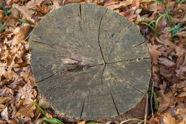 Similar image 21207124