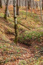 Similar image 21207126