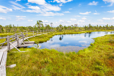 Similar image 21214379