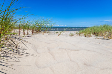 Similar image 21214383