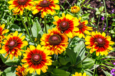 Similar image 21214391