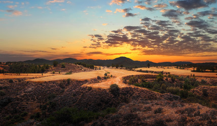 Similar image 21209060