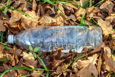 Similar image 21207132