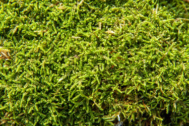 Similar image 21207134