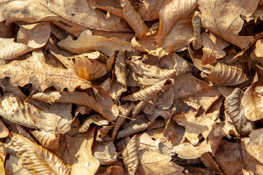 Similar image 21207136