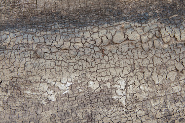 Similar image 21207395