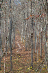 Similar image 21241377