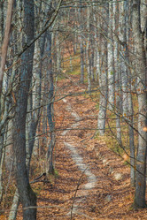 Similar image 21207399