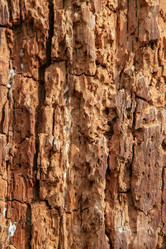 Similar image 21238439