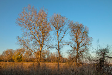 Similar image 21207401