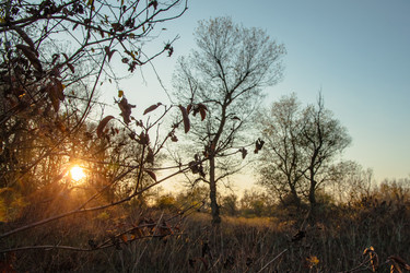 Similar image 21241378