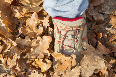 Similar image 21238442