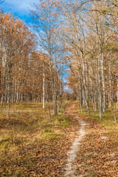 Similar image 21241379