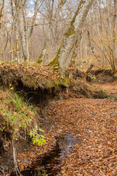 Similar image 21238443