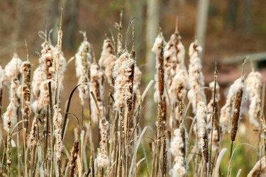 Similar image 21238447