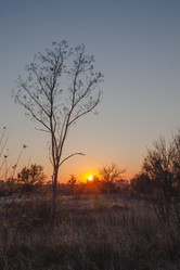 Similar image 21207407