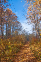 Similar image 21207409